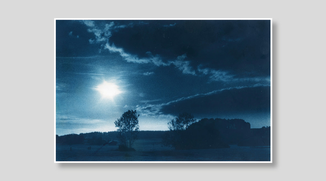 Bild in blauen Tönen mit einem Baum in der Mitte